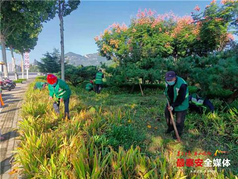 綠化養(yǎng)護(hù)服務(wù)